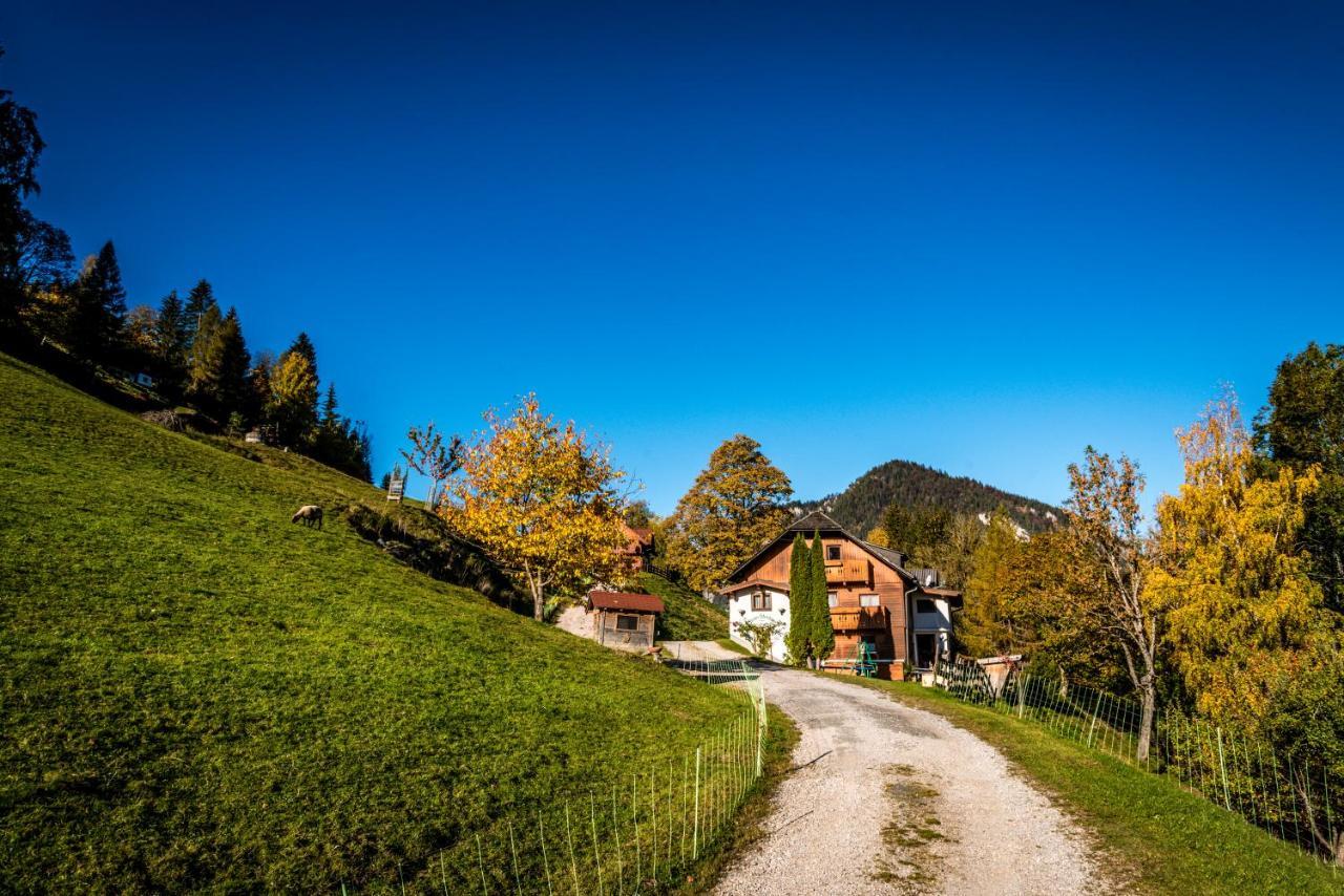 Stallhaeusl Schladming Exterior foto